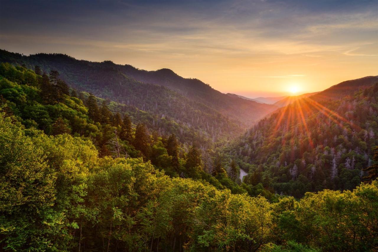 Bear Cove Falls Pigeon Forge Buitenkant foto
