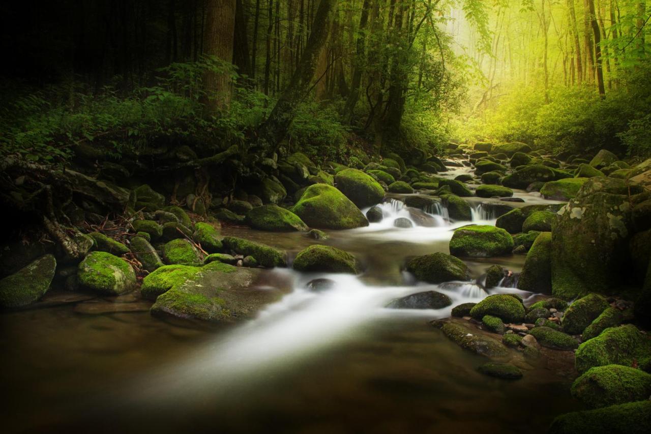 Bear Cove Falls Pigeon Forge Buitenkant foto