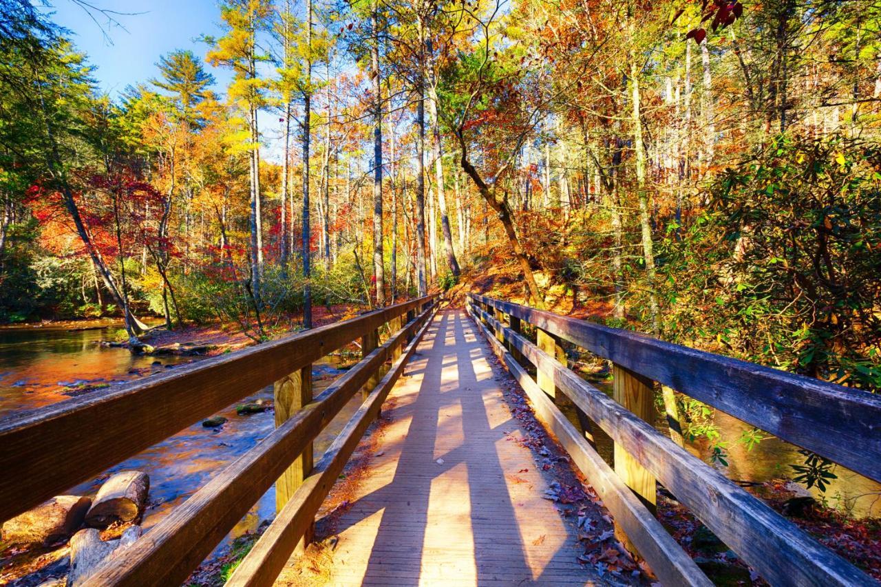Bear Cove Falls Pigeon Forge Buitenkant foto